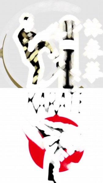 Martial Arts Offcial trên TikTok