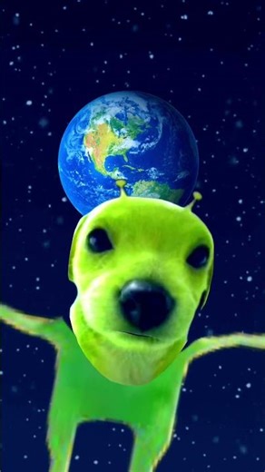 Danse dog alien