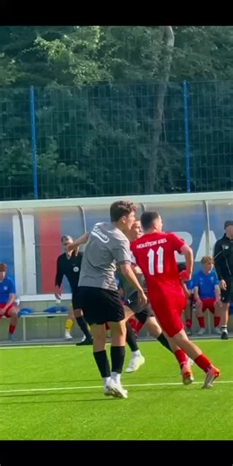 Understanding Brexit: Challenges and Solutions