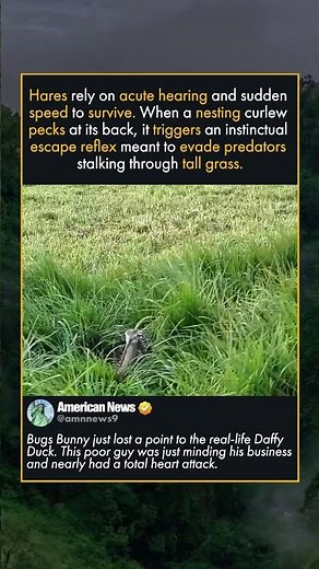 NATURES MOST UNEXPECTED JUMPSCARE