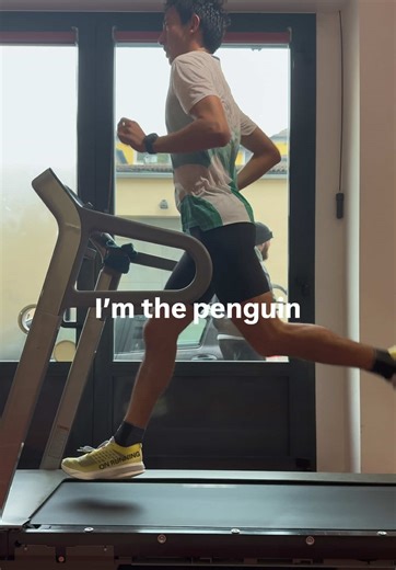 Understanding Penguin Communication in Wildlife