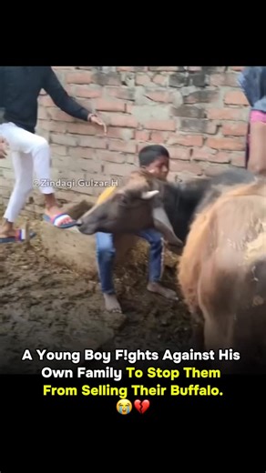 ज़िन्दगी गुलज़ार है ! on Instagram: "Heart Breaking 💔"