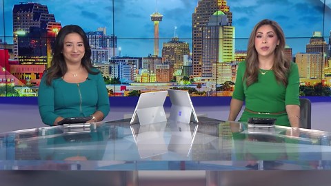 Pet emu safely back at home after escaping from his farm in Massachusetts