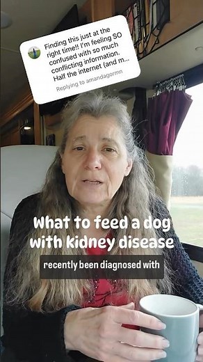 How to Feed a Dog with Kidney Disease