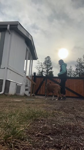 Neutrality around other dogs almost always starts with better leash communication and overall clarity between the handler and dog. Hadley and Jagger are not fearful or insecure—quite the opposite. They become easily overstimulated and highly aroused in the presence of other dogs. For many breeds (especially Boxers), this can look “confident” or “social,” but living in a constant state of over-arousal often leads to frustration and even aggression. Our first step wasn’t about other dogs at all—it