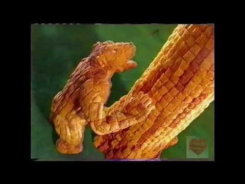 Chex Mix | Television Commercial | 2000
