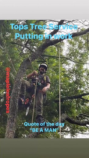 Tops Tree Service put in a full day yesterday. Starting with a dead pecan removal. We removed 1in and greater dead and epicormic growth from two other large healthy trees (elm and pecan) and removed the lower limbs of a hackberry over the house. Most of everything required techincal rigging do to all the structures. | Tops Tree Service