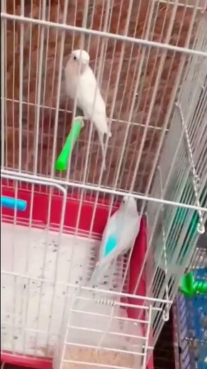 2022 mix reggaeton 2022 pop latino 2022 reggaeton mix 2022