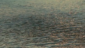 We’ll be leaving the Cali sunshine ☀️ with an ICY new Arctic Cowboys look 🥶 It all goes down 12.29.22 on NFL on Prime for #DALvsTEN Thursday Night Football! Want the helmet? Pre-order here: https://shop.dallascowboys.com/en/c-13686 | Dallas Cowboys