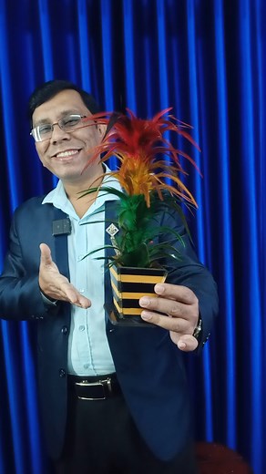 73K views · 490 reactions | Cane To Feather Magic Trick (2).... #fbreels #magichouse #mamunna #magic #illusion #magician #illusions #magictricks #amazing #magictrick #magicshow #amazingmagic #fbmagic #tricks #flowermagic | Magic House | Facebook