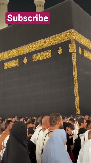 Chehry Khily ❤️#fypyoutube #ytshorts #shorts #shortsfeed #unfrezzmyaccount #tahirmahmoodathar #Searx