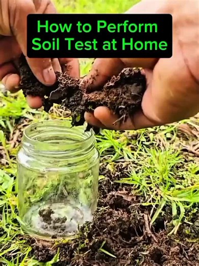 Quick DIY Soil Test at Home! 🌱🧪 No lab? No problem! Here’s how to test your soil using what you have: 1️⃣ Take soil samples from your farm 2️⃣ Add water and stir well 3️⃣ Add baking soda – If it fizzes, your soil is acidic! Simple, cheap, and helpful for better farming decisions! Try it! #SoilTestDIY #AgroTips #FarmingHack #FarmerSamuel #SoilHealth #BackyardFarming #SmartFarming #AgriTok #FarmTok #FYP