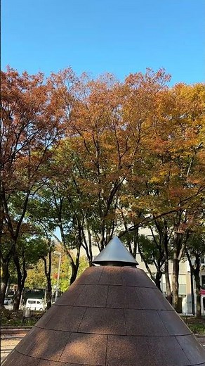 🍁紅葉2025🍁久屋大通公園の南端「ピラミッド噴水」周辺♪おすすめの場所♪2025年11月16日