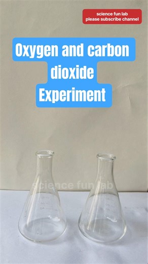 producing oxygen and carbon dioxide gas science experiment #shorts #chemistry #physics #experiment