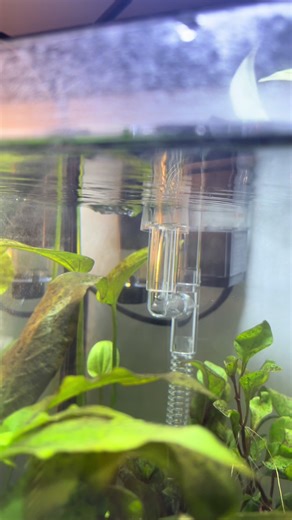 Fixing Strong Currents for Betta Fish Care
