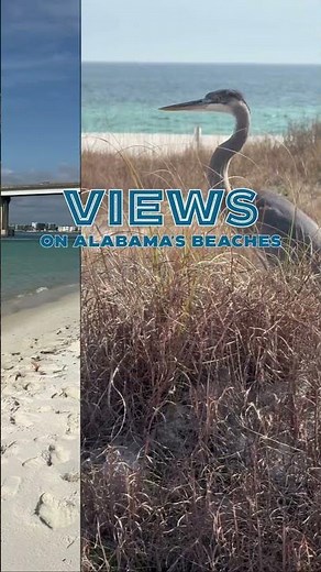 🏖️ Orange Beach, Gulf Shores, & Fort Morgan views. #AlabamasBeaches #AlabamaGulfCoast