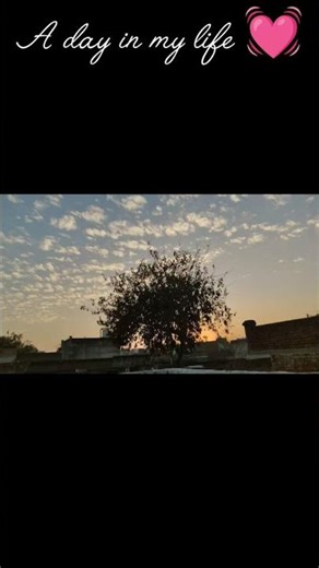 day 13 of 15 days library challenge #study #studymotivation #dailyroutine #dailyvlog #viral#minivlog