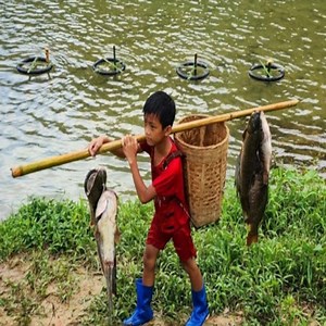 Bac's fishing technique Using many rubber floats to tie fishing nets, harvesting giant stream fish #camping #survival #bushcraft #outdoors #lifehacks | Daily maza