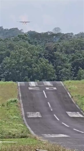 brayan_c206_oficial on TikTok