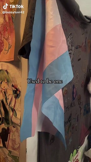 Understanding Detransition in Trans Youth