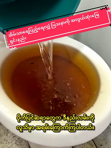 How to Easily Fix Toilet Overflow Problems