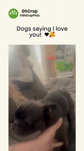 This made my entire day! | Oh Crap