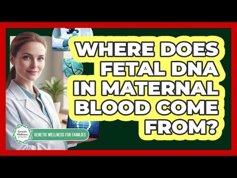 Where Does Fetal DNA in Maternal Blood Come From?