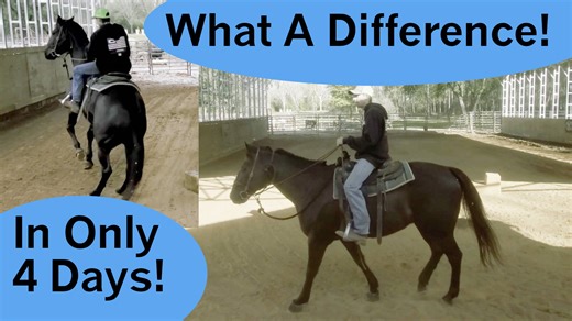 Corbin is making a huge transformation and turning out to be a very nice horse. | Tim Anderson Horse Training