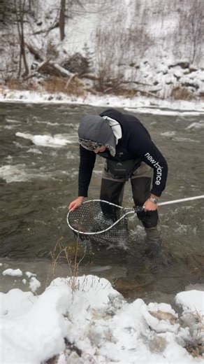 138K views · 1.7K reactions | Predator Fishing CA on Reels | Facebook