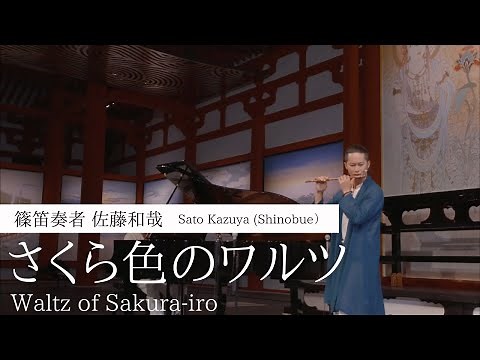 篠笛 佐藤和哉『さくら色のワルツ』演奏動画 SHINOBUE "Waltz of SAKURAIRO"