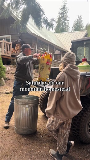 Saturday on our mountain homestead.