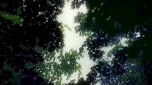 23K views · 3K reactions | 혈혦혴혵혩혦혵혪혤 ✨ | Ａｎｉｍｅ Ａｅｓｔｈｅｔｉｃ | Facebook