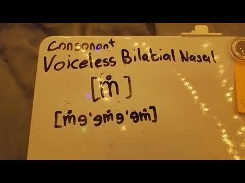 [Consonant] Voiceless Bilabial Nasal [m̥]