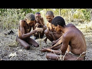 The San People: Africa’s Oldest Tribe Still Living Wild and Free