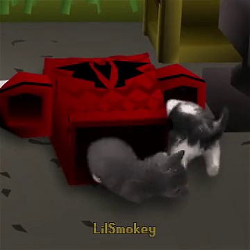 Gertrude's Cats in OSRS: Collect Death Runes