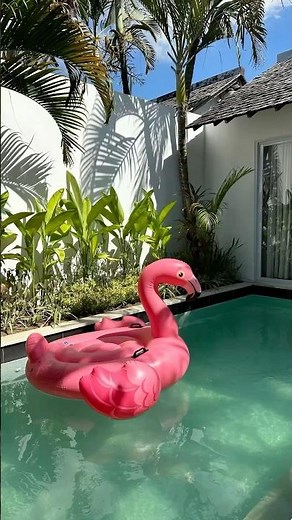 Inflatable pink flamingo for the pool 🦩