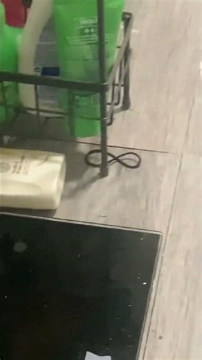 WHY IS THERE A INFINITY SYMBOL IN THE BATHROOM!!