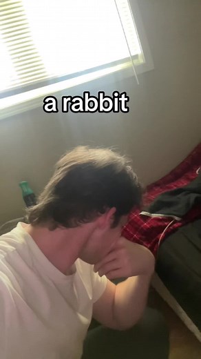 Funny Bunny From Winnie the Pooh - Cute Rabbit Compilation