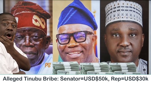 Alleged Tinubu Bribe: $50k to Senators, $30k to Reps on Budget Day Reports by Peoples Gazette claim that Nigerian lawmakers planned to block proceedings and disrupt President Bola Tinubu’s 2026 budget presentation. The protest was linked to complaints over the poor implementation of the 2025 budget and constituency project funding. According to the report, the protest was suddenly cancelled. Lawmakers later claimed that: * Each Senator allegedly received $50,000 * Each House of Representatives m