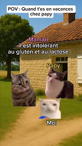 Quand tu vas chez papi - Crédits : shorts2chat | Stories2chats