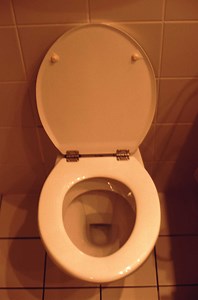 How to Repair the Inner Workings of an Old Style Toilet Tank