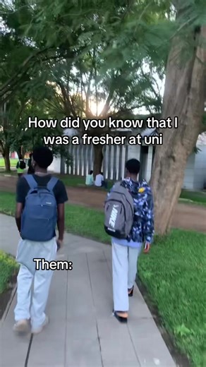 Navigating Freshman Year Expectations