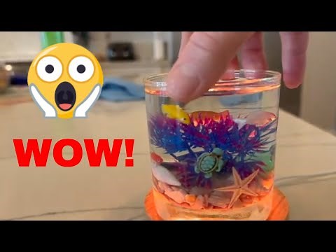 # 266 Diy Tutorial: How To Make A Gorgeous Resin Fish Tank Aquarium At Home!