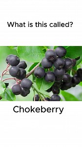 11K views · 163 reactions | English today on Reels | Facebook