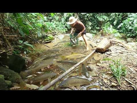 Girl Using Incredible Fishing Skills To Catch Giant Fish In Deep Puddle