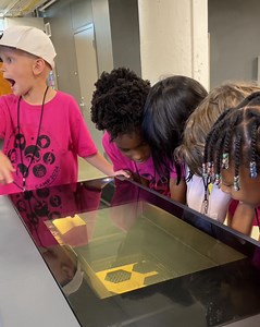 42K views · 2.2K reactions | Curious and excited, the kids gather...