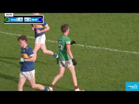 Mullahoran v Gowna