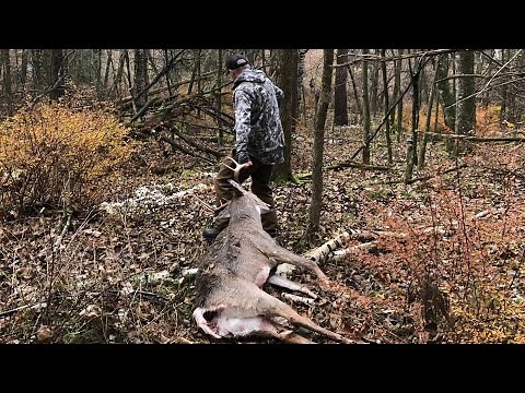 #1 Deer Blood Tracking Fail