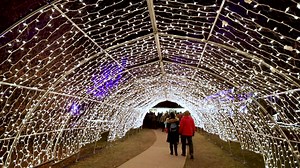 86K views · 38 reactions | Royal Botanical Gardens on Reels | Facebook