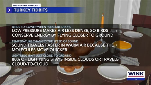 WINK Tracks the Tropics is your brand-new streaming show from the WINK Weather Authority. Join us now for real-time answers to your weather questions and the latest updates on storms, forecasts, and the tropics—live right on your phone. | WINK News